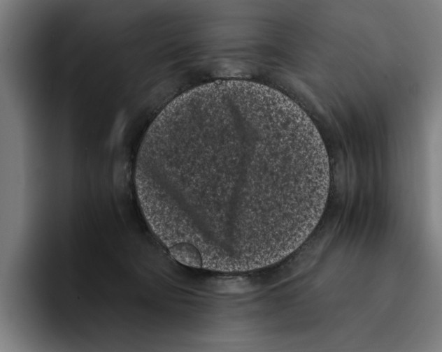 X0000094910322200712271518