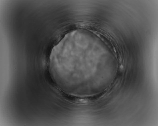 X0000094910324200712271518