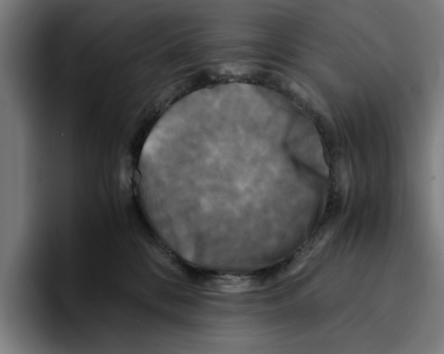 X0000094910328200712271518