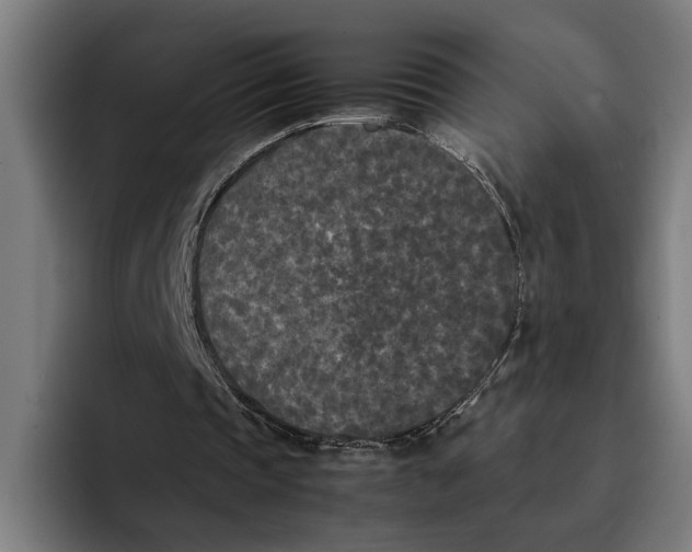 X0000094910337200712271517