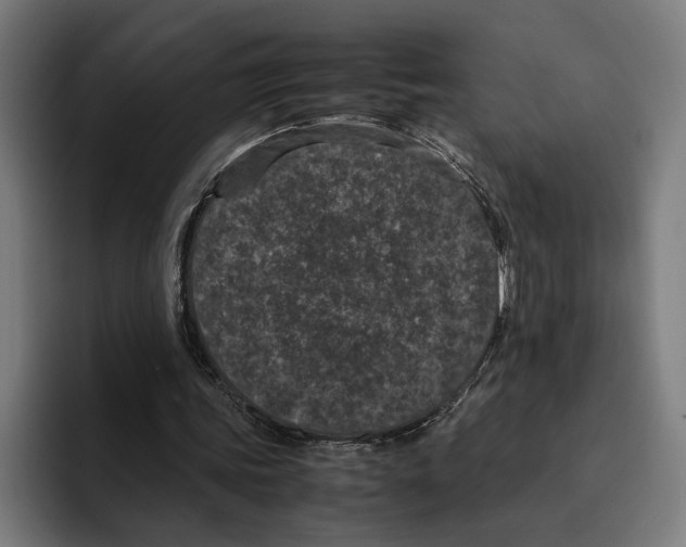 X0000094910339200712271517