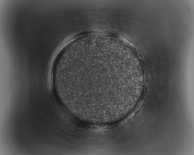 X0000094910343200712271517