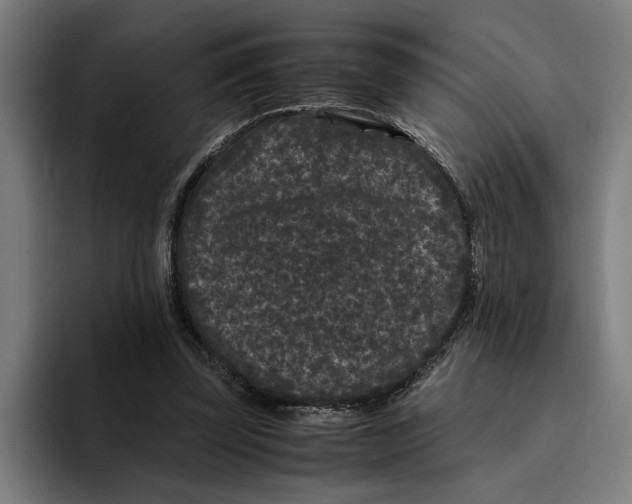 X0000094910347200712271517