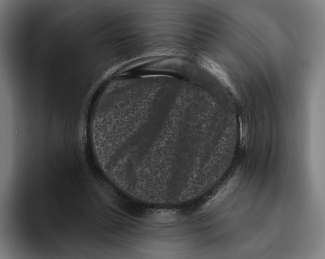 X0000094910348200712271517