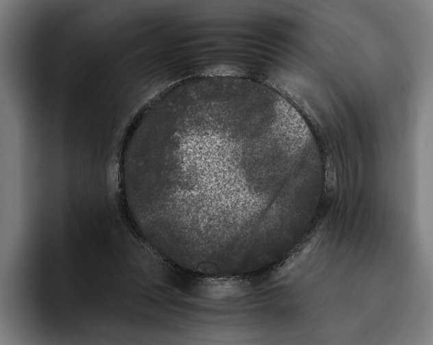 X0000094910351200712271517