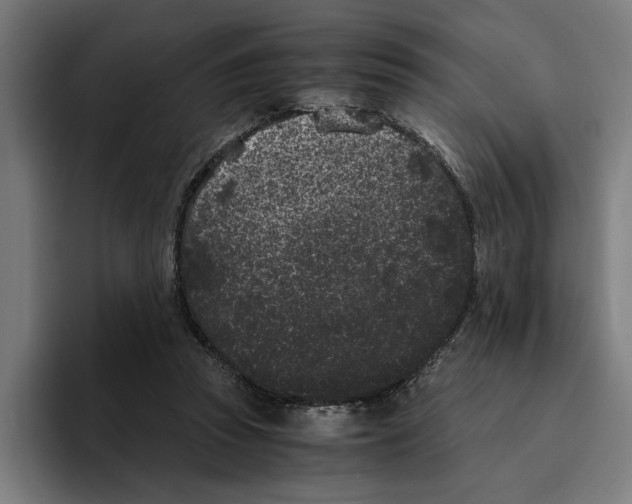 X0000094910353200712271517