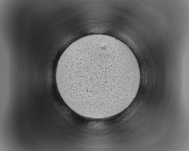 X0000094910354200712271517