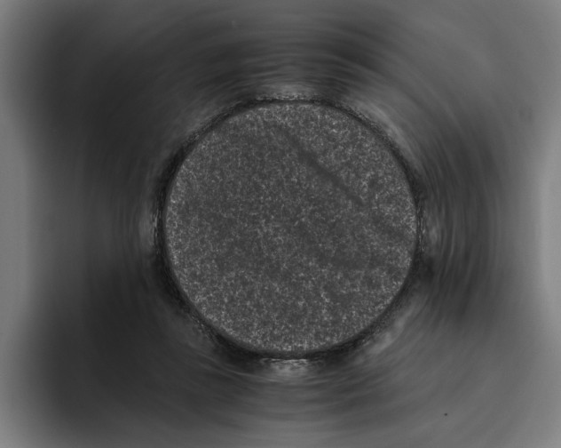 X0000094910355200712271517