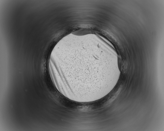 X0000094910356200712271517