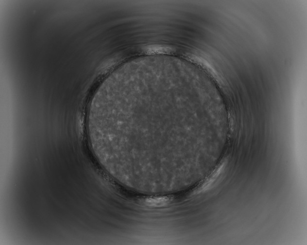 X0000094910357200712271517