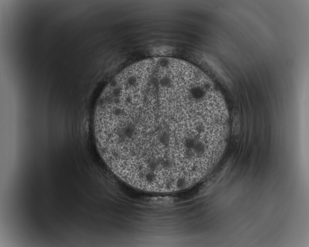 X0000094910363200712271517