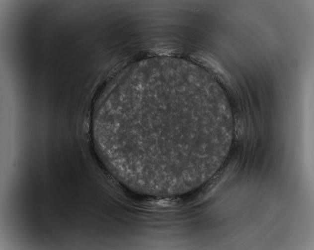 X0000094910365200712271517