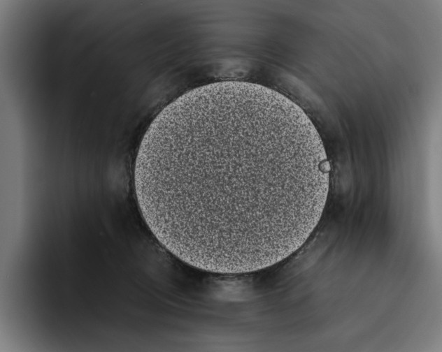 X0000094910370200712271517