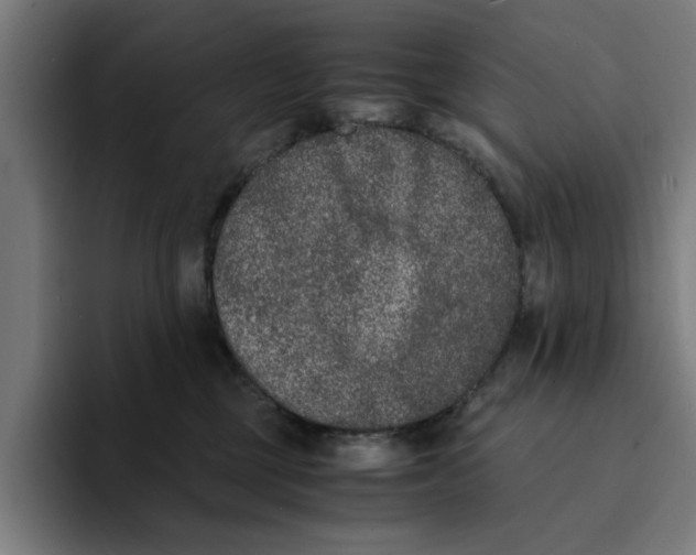 X0000094910377200712271517