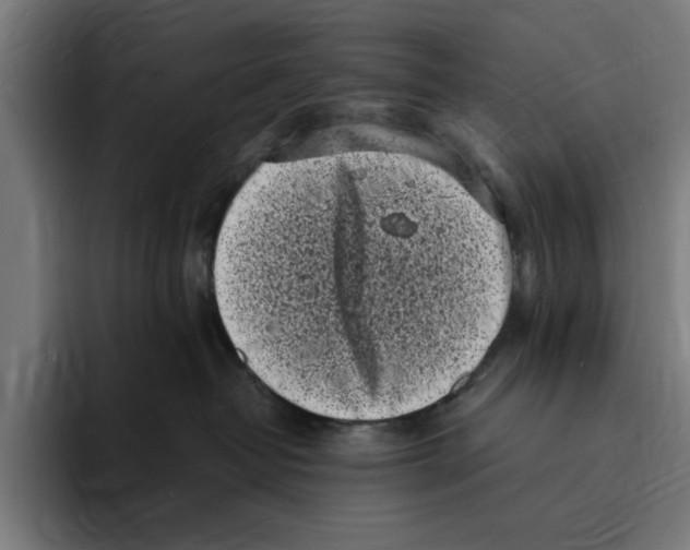 X0000094910382200712271517