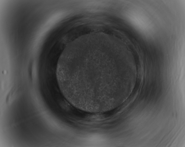 X0000094910383200712271517