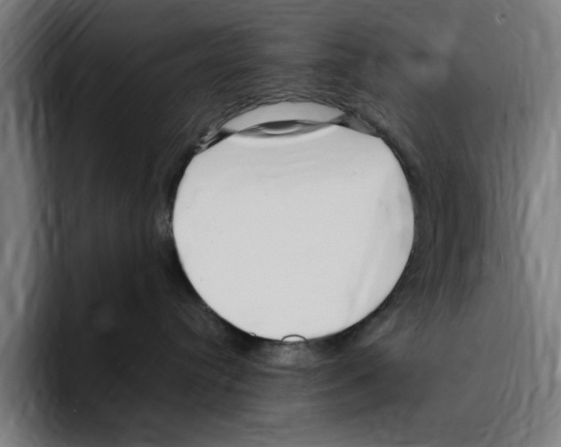 X0000094910384200712271517