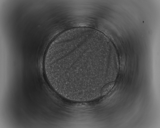 X0000094910386200712271517