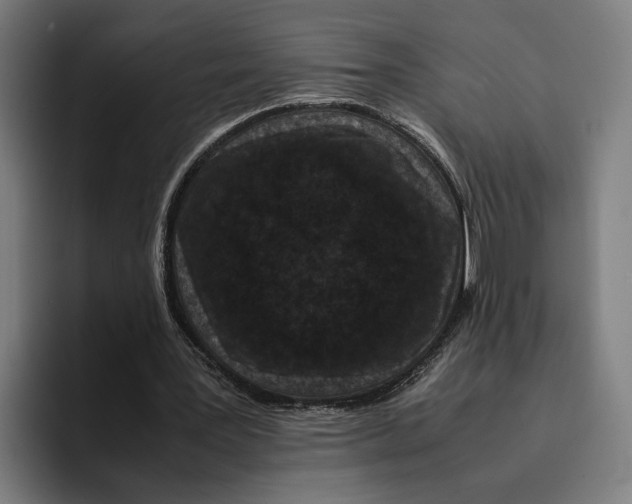 X0000094910387200712271517