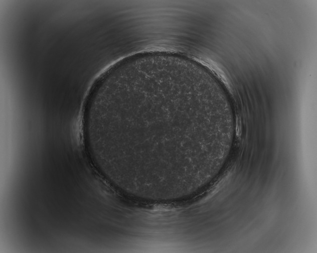 X0000094910388200712271517