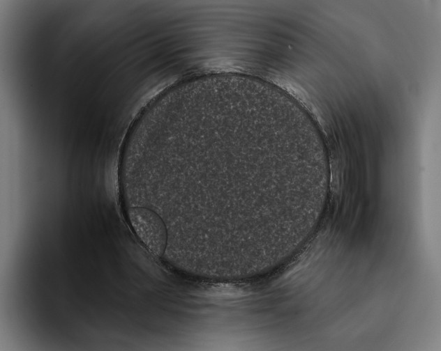 X0000094910390200712271517