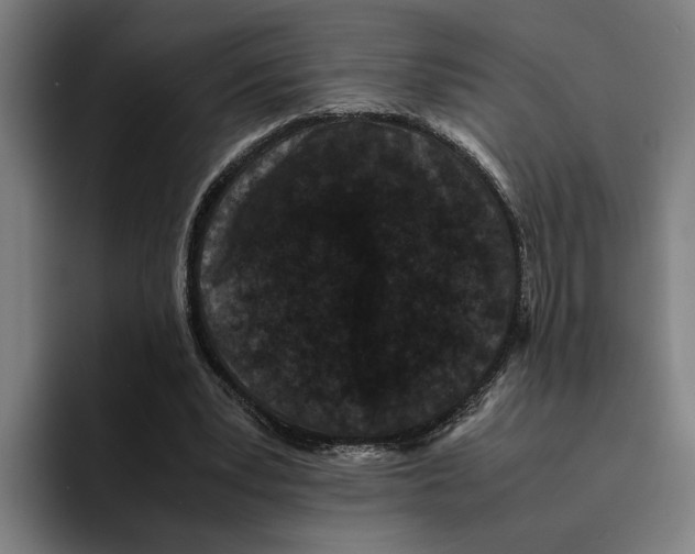 X0000094910391200712271517