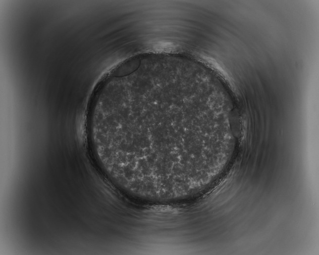 X0000094910392200712271517