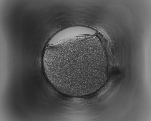 X0000094910393200712271517