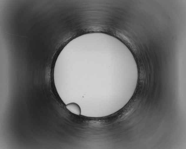 X0000094910394200712271517