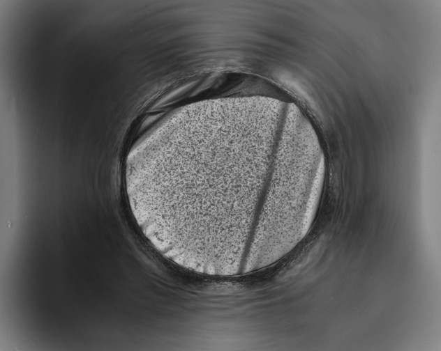 X0000094910397200712271517