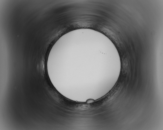 X0000094910398200712271517