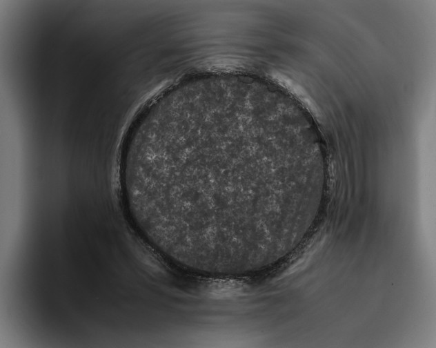 X0000094910399200712271517