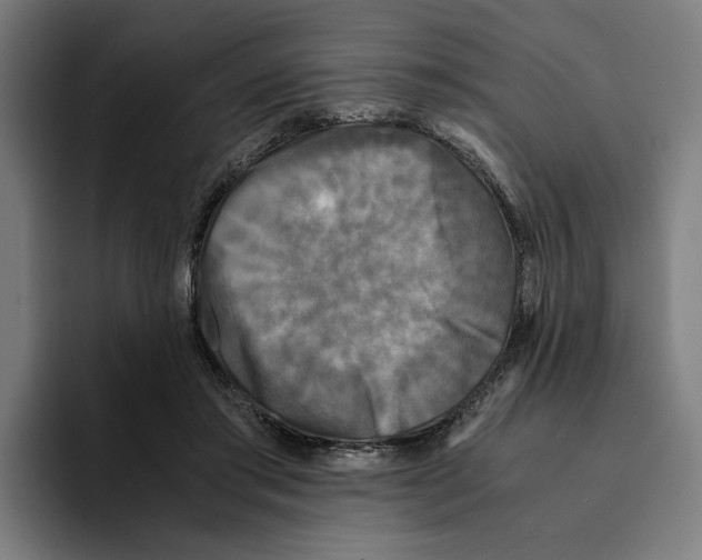 X0000094910405200712271517