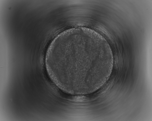 X0000094910410200712271516