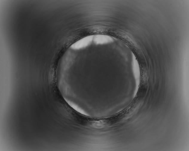 X0000094910411200712271516