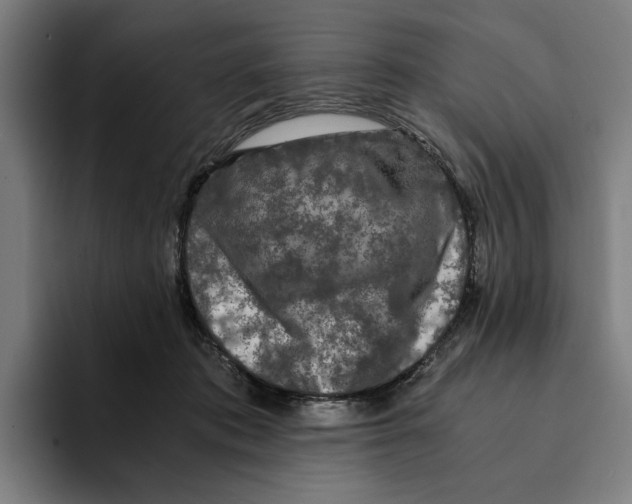 X0000094910413200712271516