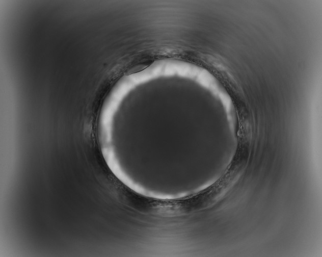 X0000094910415200712271516