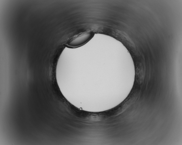 X0000094910416200712271516