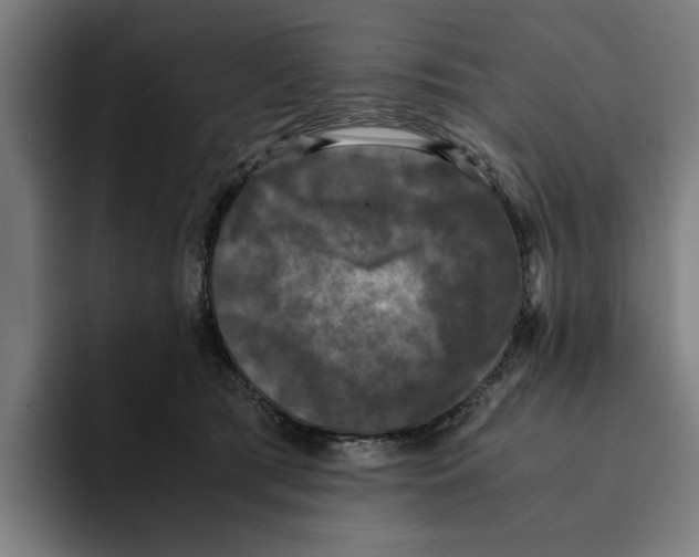 X0000094910417200712271516