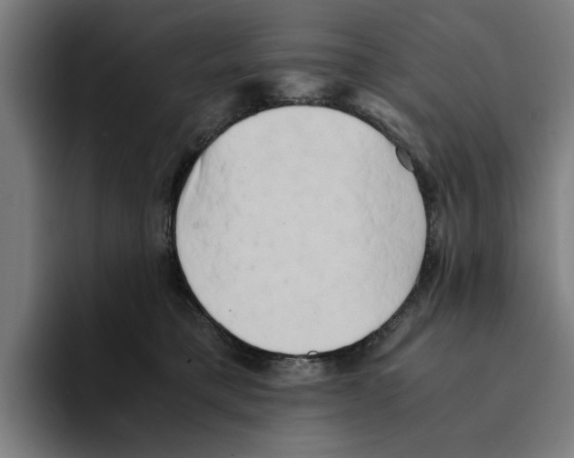 X0000094910421200712271516