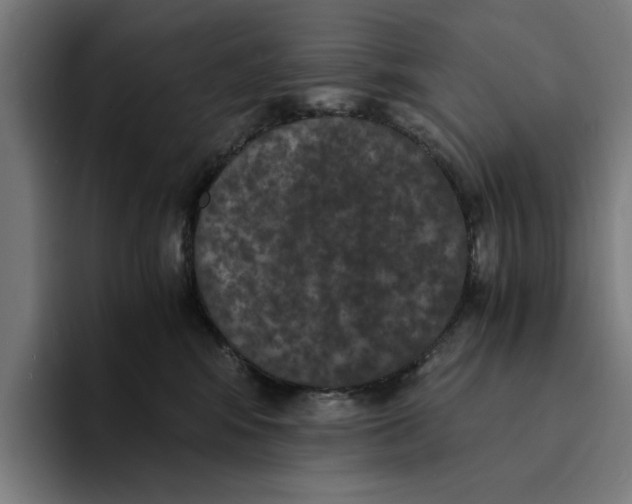 X0000094910424200712271516