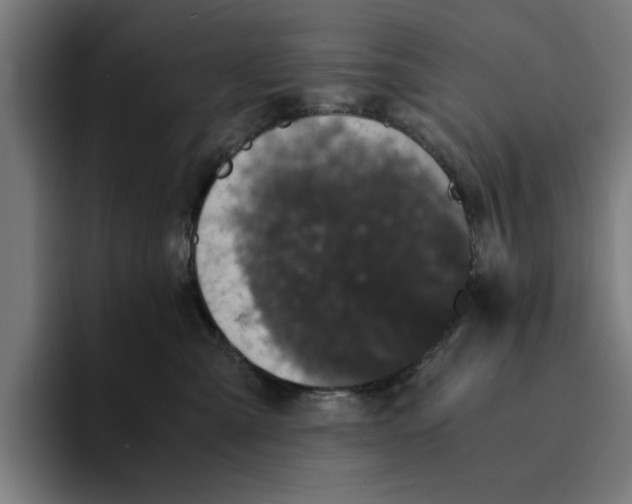 X0000094910427200712271516