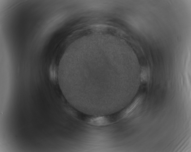 X0000094910431200712271516