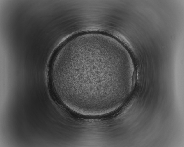 X0000094910436200712271515