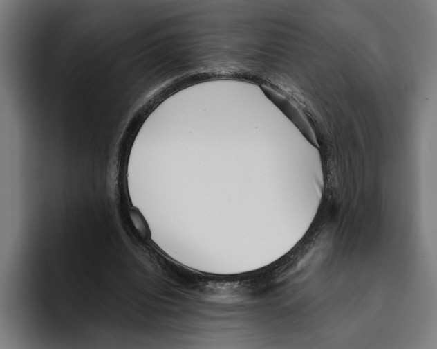 X0000094910440200712271516