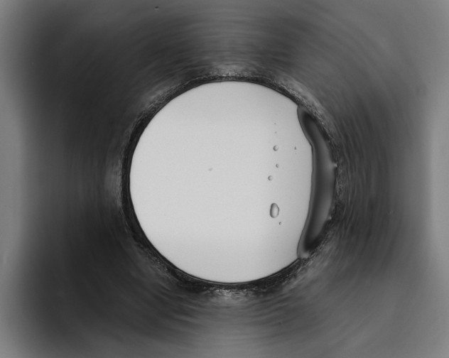 X0000094910442200712271516