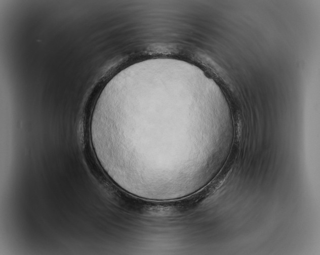 X0000094910444200712271516