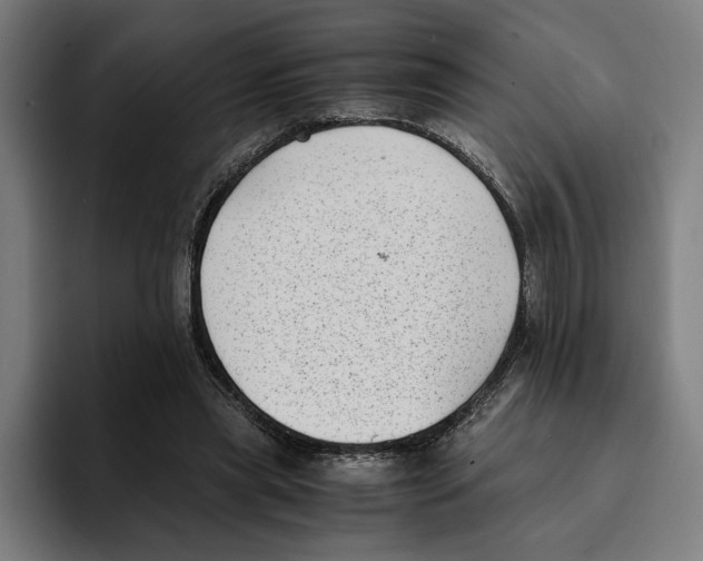 X0000094910445200712271516