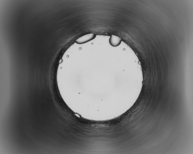 X0000094910448200712271516