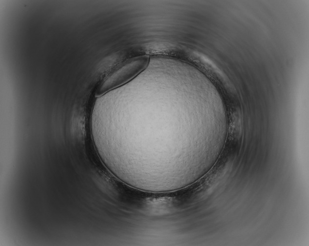 X0000094910452200712271516